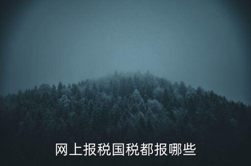 國稅云辦稅廳都報(bào)什么，你好我是新手我想問一下前輩國稅每月季年都報(bào)什么報(bào)表