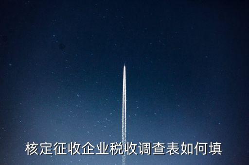 什么企業(yè)填稅收調(diào)查表，核定征收企業(yè)稅收調(diào)查表如何填