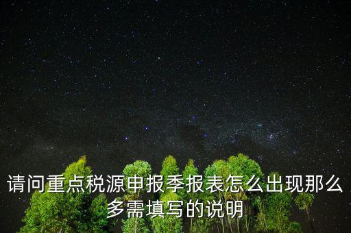 重點(diǎn)稅源申報(bào)要填什么，重點(diǎn)稅源申報(bào)表怎樣填