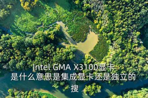 國稅集成理念是什么意思，Intel GMA X3100顯卡 是什么意思是集成顯卡還是獨立的  搜