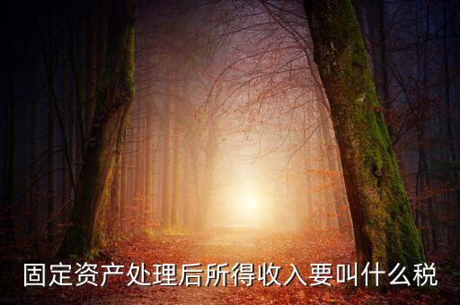 什么叫做試點(diǎn)納稅人，固定資產(chǎn)處理后所得收入要叫什么稅