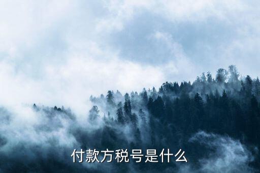 付款人稅號是什么，轉(zhuǎn)賬稅號指的是什么