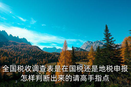 全國(guó)稅收調(diào)查表是在國(guó)稅還是地稅申報(bào)怎樣判斷出來的請(qǐng)高手指點(diǎn)