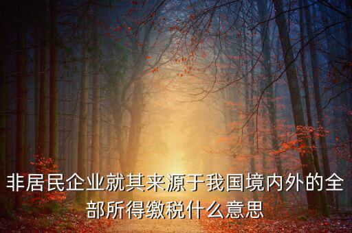 非居民企業(yè)就其來(lái)源于我國(guó)境內(nèi)外的全部所得繳稅什么意思