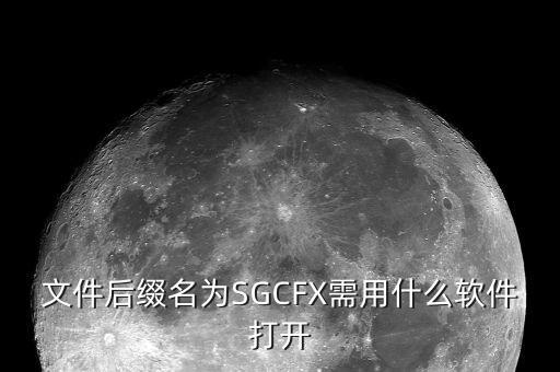 稅收調(diào)查用什么程序打開，文件后綴名為SGCFX需用什么軟件打開