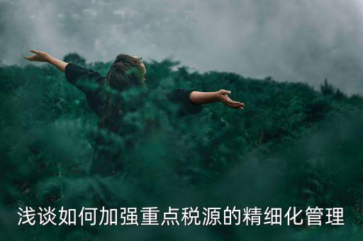 淺談如何加強重點稅源的精細化管理