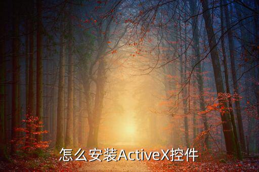 如何安裝scriptx，怎么安裝ActiveX控件