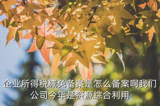 如何打印稅收優(yōu)惠備案通知書，減免稅備案登記告知書在哪里打印的