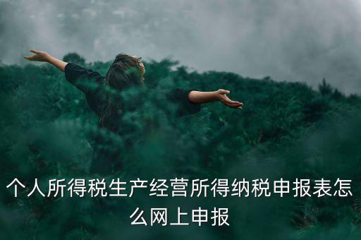 生產經營所得如何網上申報，個體工商戶網上申報怎么做