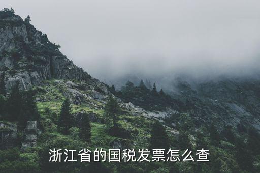 浙江的定額發(fā)票如何查詢，浙江省的國稅發(fā)票怎么查