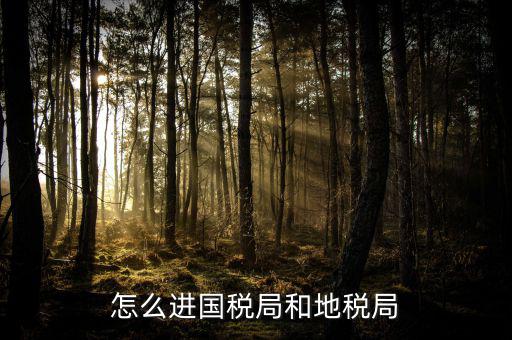 山西國稅系統(tǒng)如何進入地稅，怎么進國稅局和地稅局