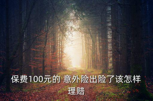 100元意外險怎么辦,農(nóng)村意外險100元保單保費(fèi)僅100元