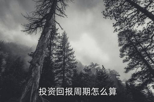  投資回報(bào)周期怎么算