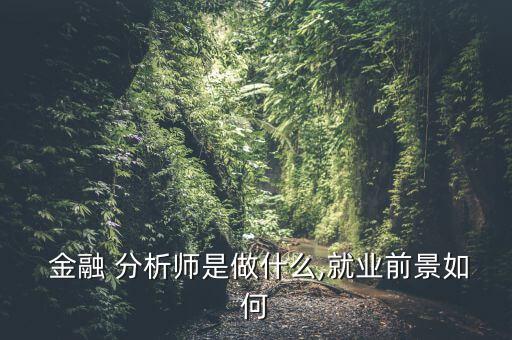 高級金融分析師怎么樣,錢和上帝說話在金融分析師眼里是真的