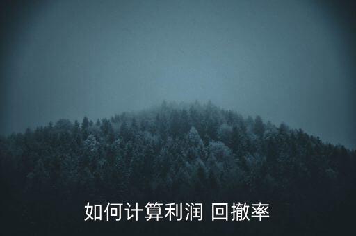 如何計(jì)算利潤(rùn) 回撤率