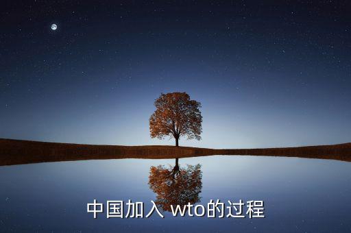 中國(guó)是怎么進(jìn)入wto,中國(guó)與27個(gè)國(guó)家達(dá)成加入世貿(mào)組織協(xié)議