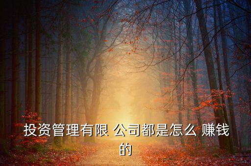  投資管理有限 公司都是怎么 賺錢(qián)的