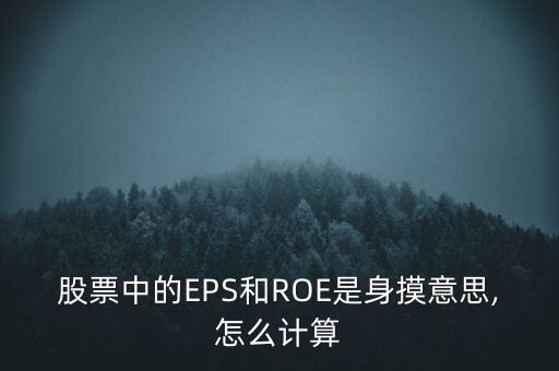 股票中的EPS和ROE是身摸意思,怎么計算