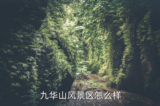 九華山旅游學(xué)校怎么樣,池州職業(yè)技術(shù)學(xué)院前身是池州市農(nóng)業(yè)學(xué)校