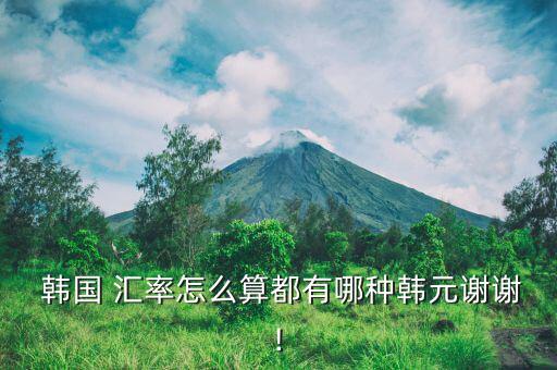 韓國支付寶匯率怎么算,百度知道企業(yè)支付包怎么樣匯率0.3%