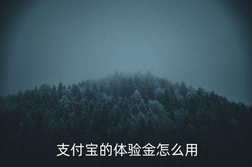  支付寶的體驗(yàn)金怎么用