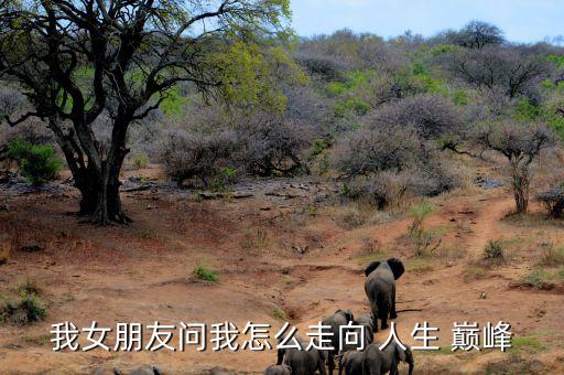 怎么20歲就人生巔峰,你需要控制好情緒才能去達(dá)人生巔峰