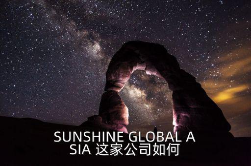 永信亞洲有限公司主要業(yè)務(wù)是什么，SUNSHINE GLOBAL ASIA 這家公司如何