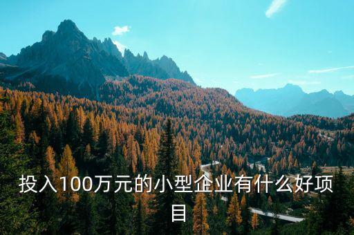 什么企業(yè)愛投資項目，投入100萬元的小型企業(yè)有什么好項目