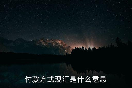 現(xiàn)匯金額是什么意思，招行自動(dòng)還款中現(xiàn)匯是什么意思