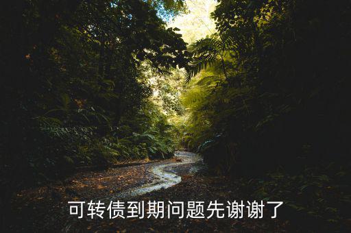 132001可轉(zhuǎn)債什么時候到期期，可轉(zhuǎn)債到期問題先謝謝了