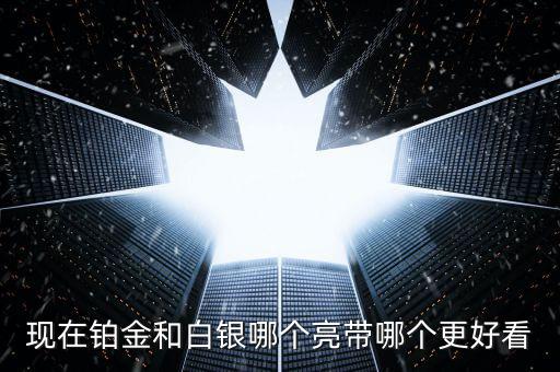 什么白銀最亮，哪種銀子最好