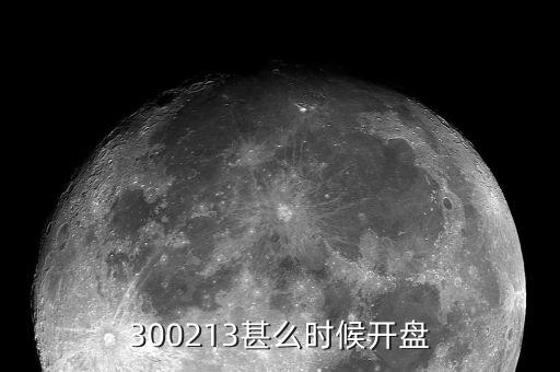 300213甚么時候開盤