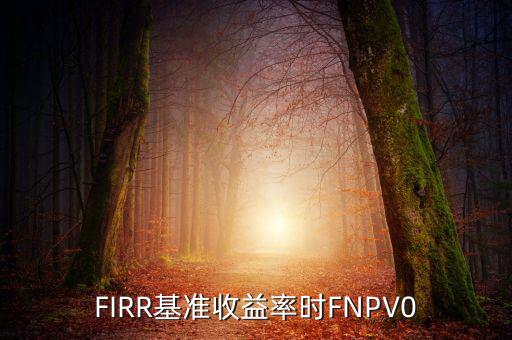 收益率什么時候為正，F(xiàn)IRR基準收益率時FNPV0