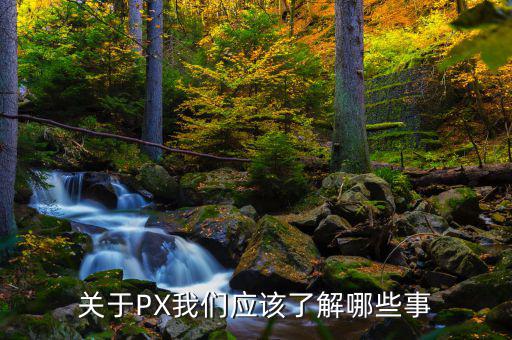 px項目是干什么的，關(guān)于PX我們應(yīng)該了解哪些事