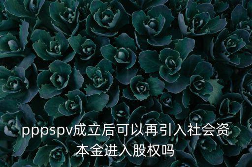 spv公司是什么意思，spv公司是獨(dú)立法人