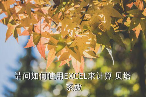 請問如何使用EXCEL來計算 貝塔 系數(shù)