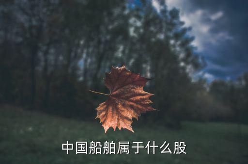 中國船舶是什么板塊，中國船舶原始股每股多少人民幣