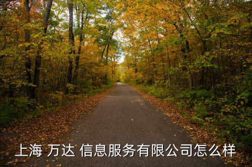 上海 萬達 信息服務(wù)有限公司怎么樣