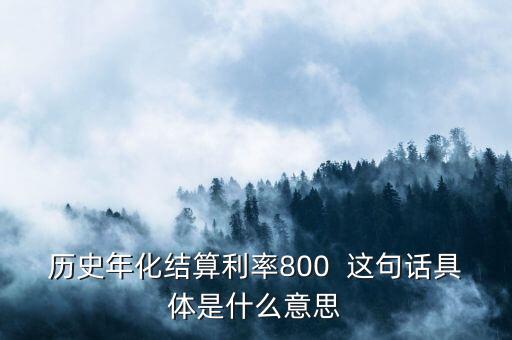 年化結(jié)算利率是什么，歷史年化結(jié)算利率800  這句話具體是什么意思