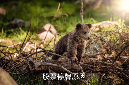 金山股份為什么停牌，股票停牌原因