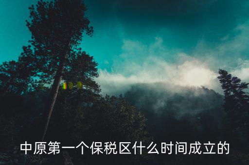 新泰保稅區(qū)什么時(shí)間投建，中原第一個(gè)保稅區(qū)什么時(shí)間成立的