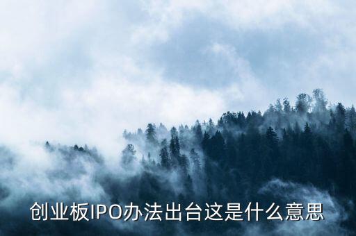 創(chuàng)業(yè)板ipo是什么意思，什么是創(chuàng)業(yè)板IPO泡沫