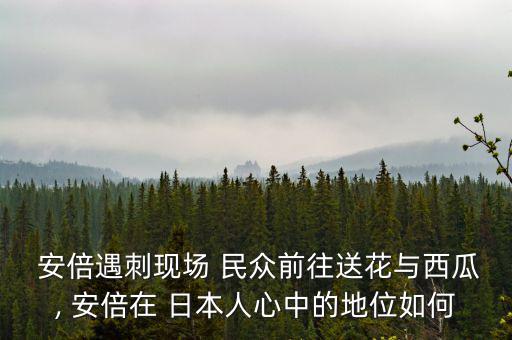 日本民眾怎么看安倍,安倍金三在日本民眾心目中地位比較高