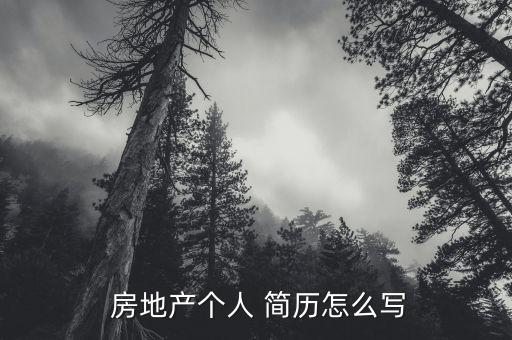 房地產(chǎn)銷售高管簡歷怎么寫,如何投遞個人簡歷?注意事項(xiàng)