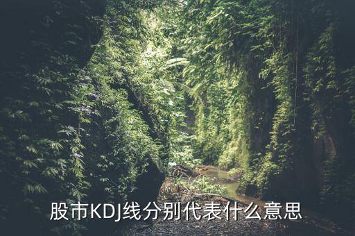 股票中的kdj代表什么，股票指標(biāo)的KDJ是什么意思