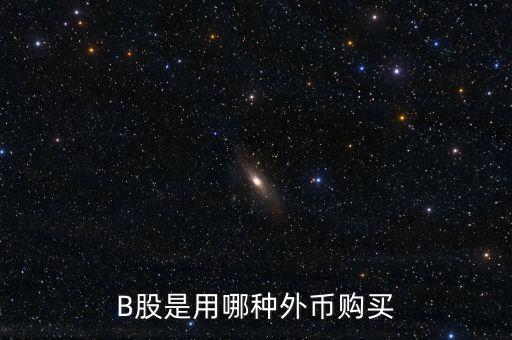 b股分紅支付什么貨幣，B股是用哪種外幣購(gòu)買(mǎi)