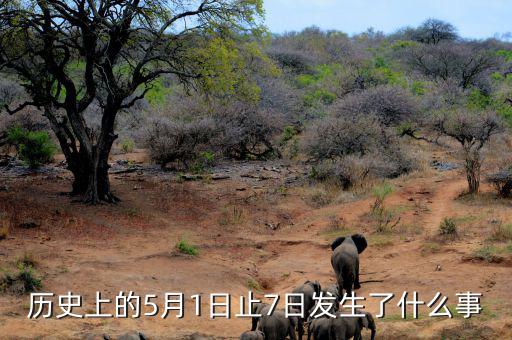 史上5月1日發(fā)生了什么，歷史上的5月1日止7日發(fā)生了什么事