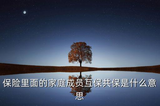 什么是共同被保險(xiǎn)人，保險(xiǎn)里面的家庭成員互保共保是什么意思