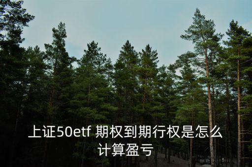 ETF期權保證金怎么算的,股市期權交易所需付保證金