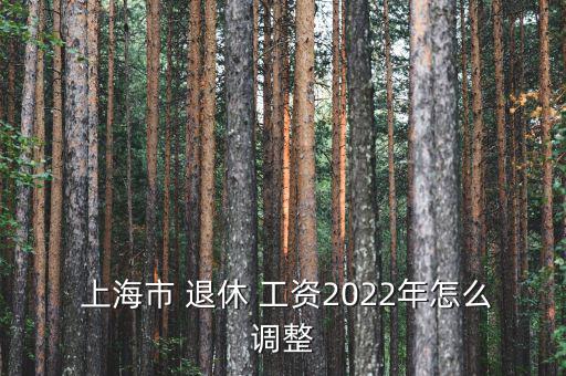  上海市 退休 工資2022年怎么調(diào)整